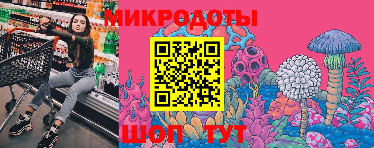 Псилоцибиновые грибы Psilocybe Сердобск