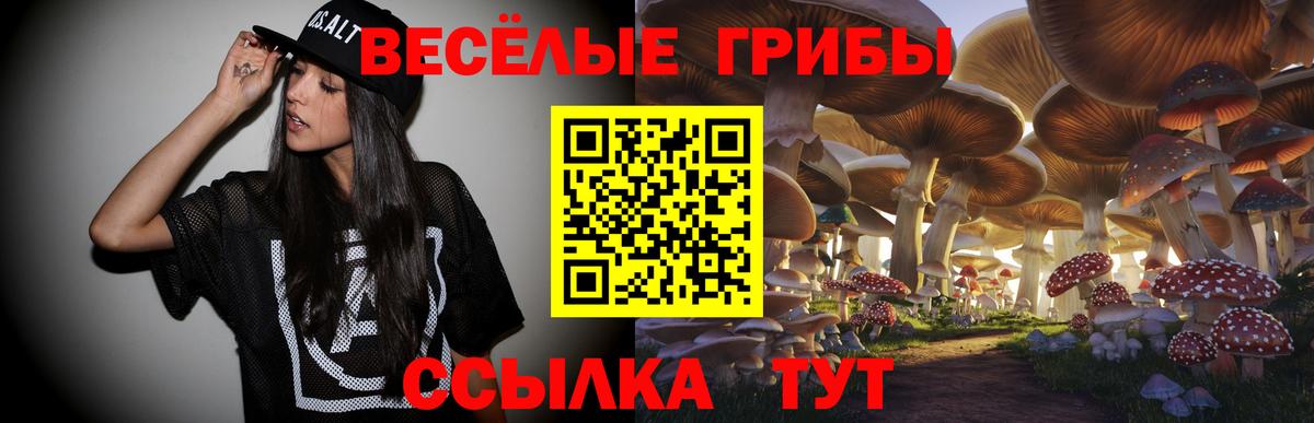 Сердобск  Псилоцибиновые грибы Magic Shrooms  Вход с VPN  Псилоцибиновые грибы мухоморы 